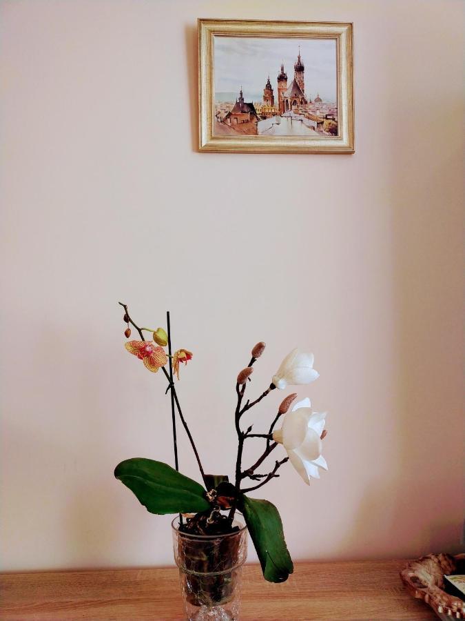 Piast Apartament Krakow Bagian luar foto